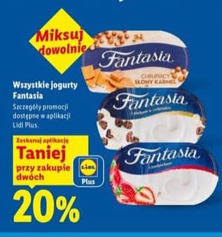 Fantasia jogurt Fantasia różne rodzaje