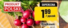 rzodkiewki