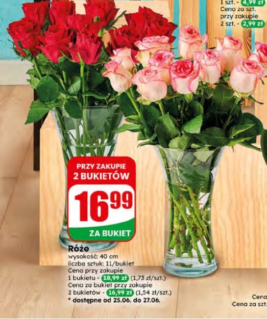 róża