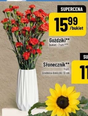 Goździki