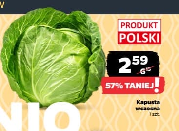kapusta wczesna