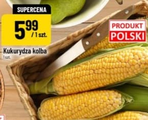 kukurydza kolba