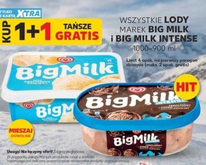 Wszystkie lody marki Big Milk i Big Milk Intense