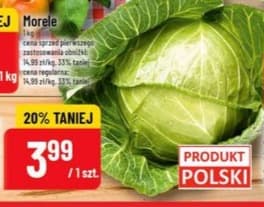 kapusta młoda
