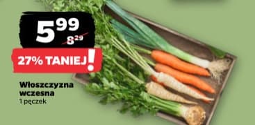włoszczyzna wczesna