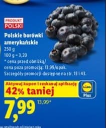 borówka amerykańska