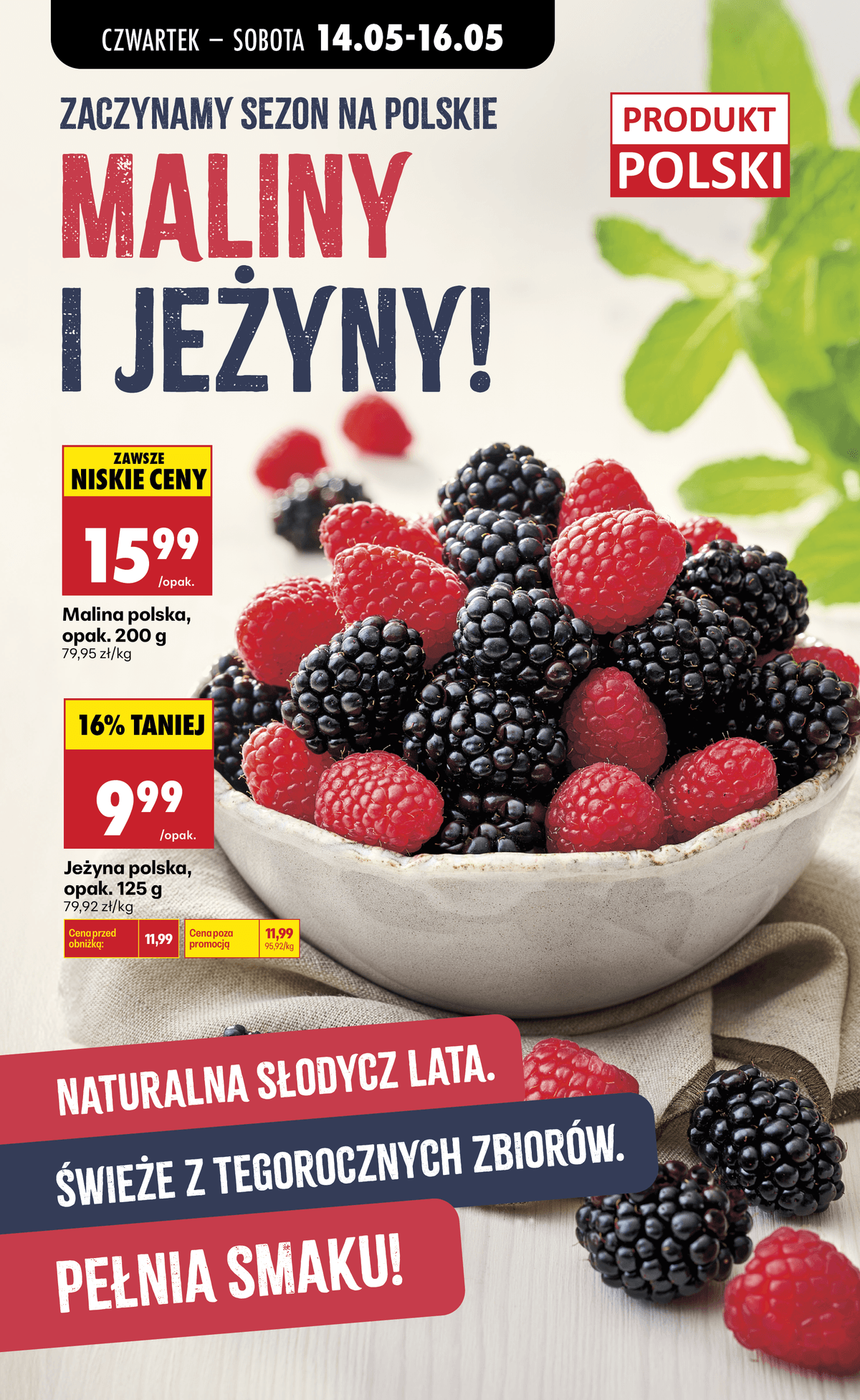jeżyna polska