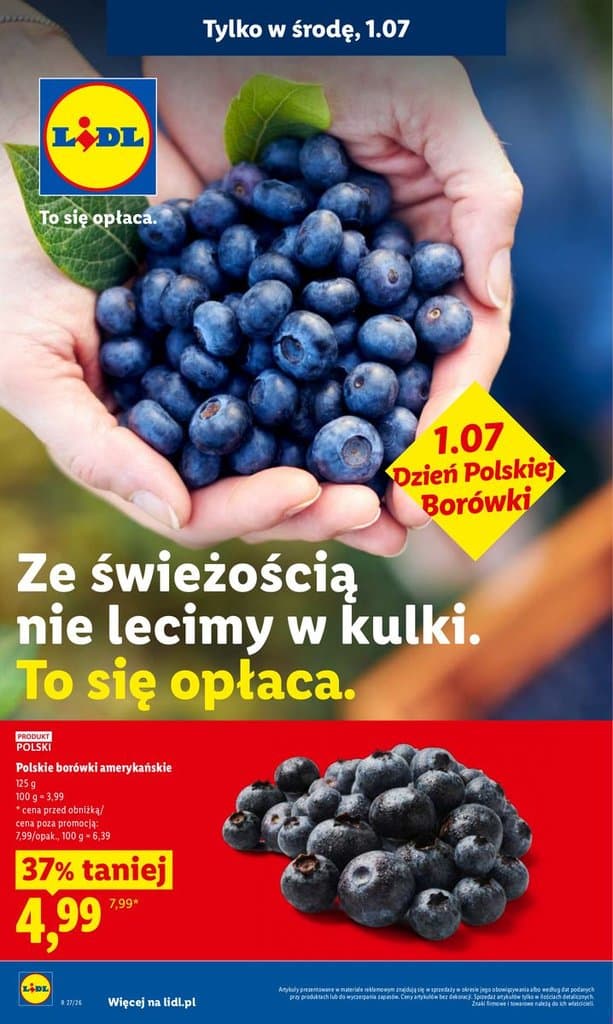 polskie borówki amerykańskie