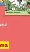 herbatniki Muminki
