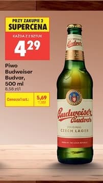 piwo budvar