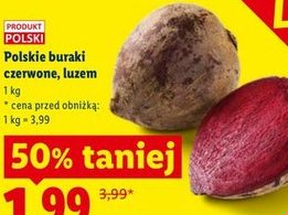 burak czerwony