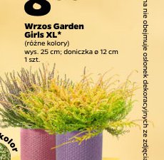 wrzos Garden Girls XL