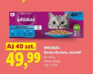 mokra karma dla kota saszetki różne rodzaje
