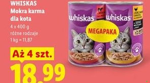 mokra karma dla kota