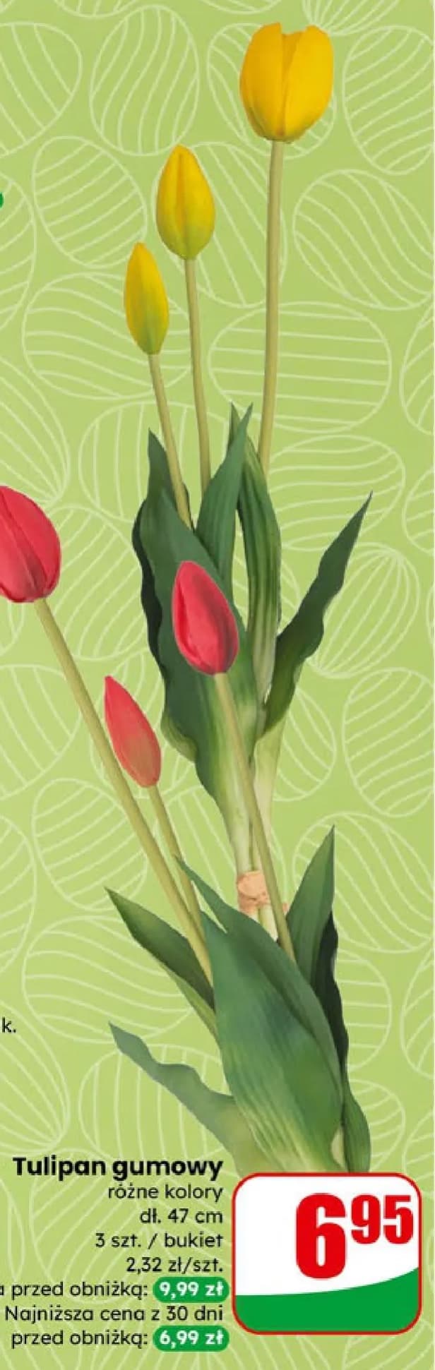 tulipan gumowy