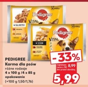 karma dla psów