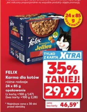 karma dla kotów