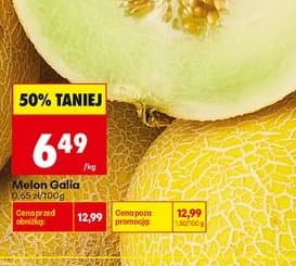 melon Galia