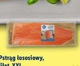 pstrąg łososiowy, filet XXL