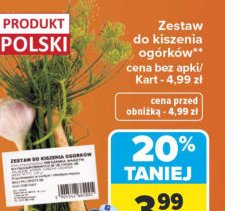 zestaw do kiszenia ogórków