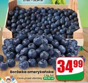 borówka amerykańska