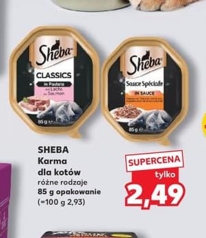 karma dla kotów różne rodzaje