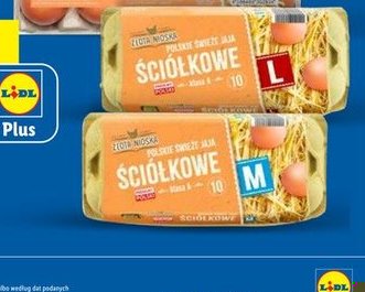 jaja ściółkowe