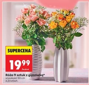 bukiet róż z gipsówką