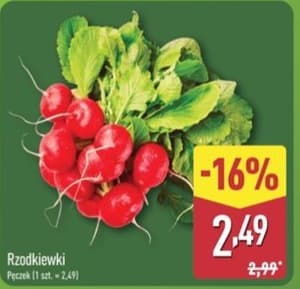 rzodkiewka pęczek