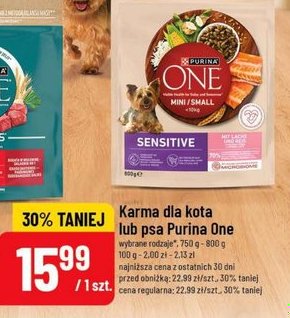 karma dla kota lub psa