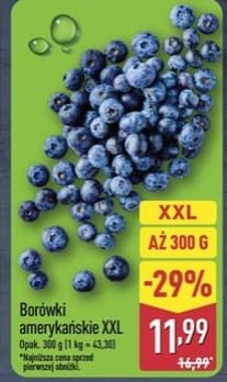 borówki amerykańskie XXL
