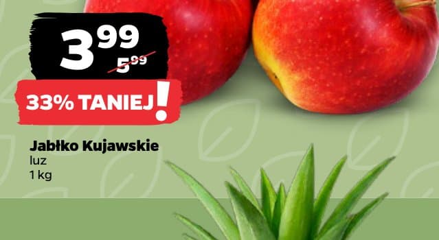 jabłko kujawskie