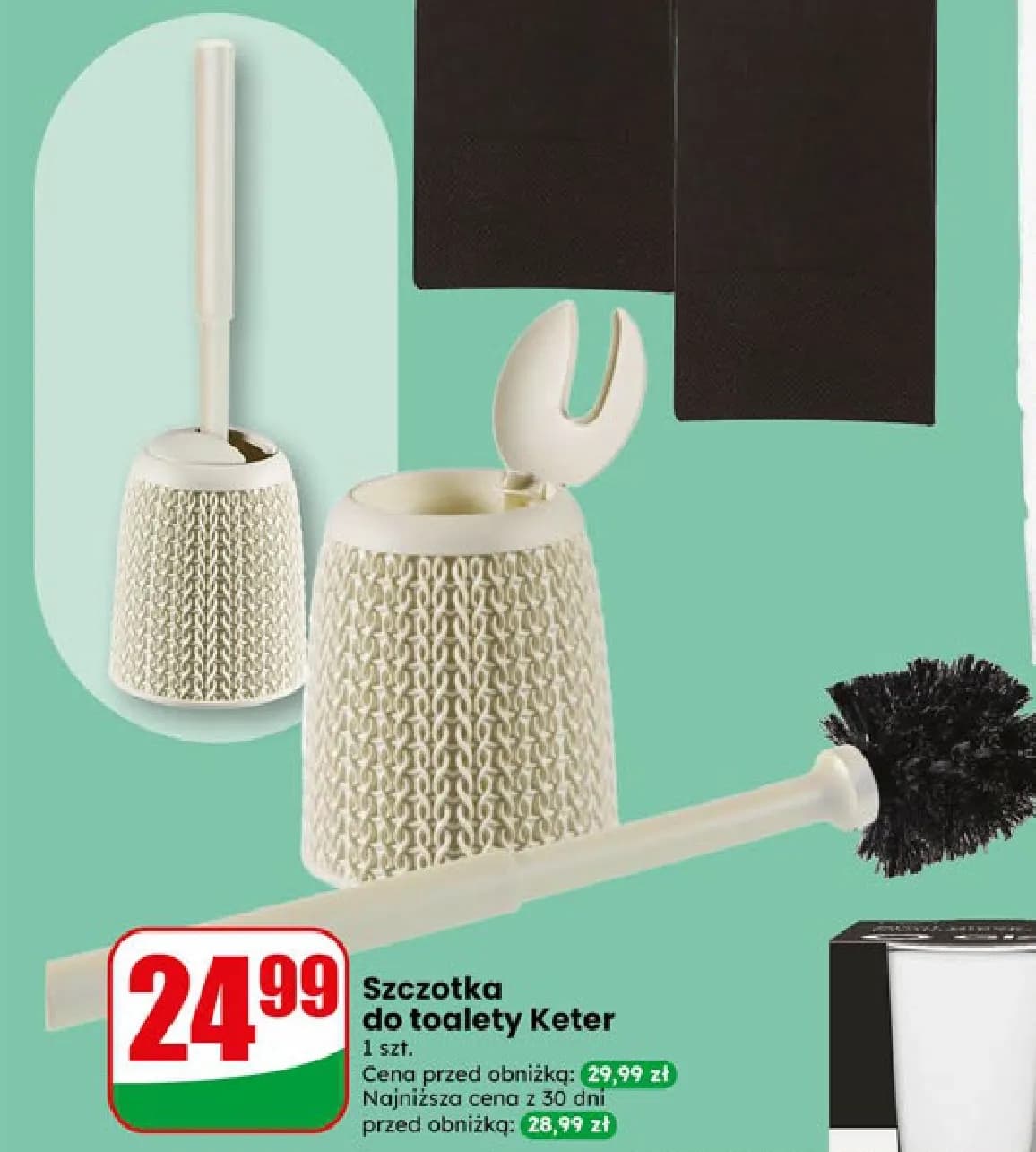 szczotka do toalety