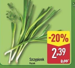szczypiorek