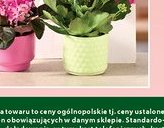Kwiaty kwitnące w torebkach