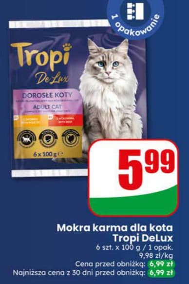 mokra karma dla kota