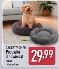 poduszka dla zwierząt