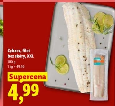 zębacz filet bez skóry XXL