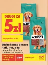 Sucha karma dla psa