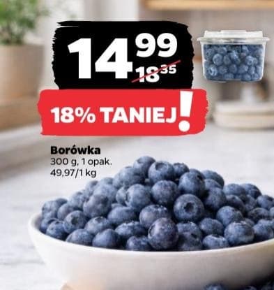 borówka