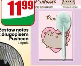 zestaw notes z długopisem