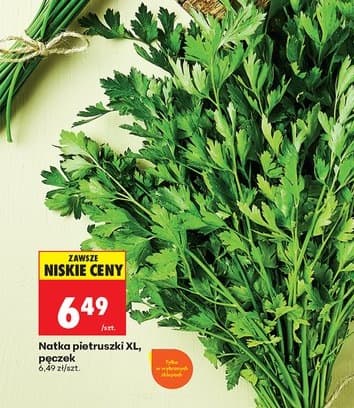 natka pietruszki XL