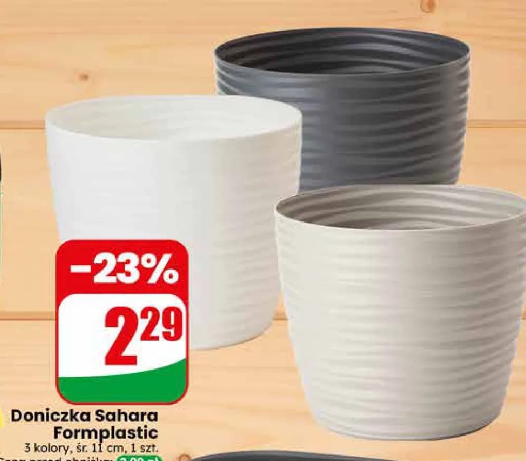 doniczka sahara