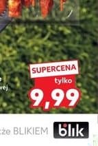 patyczki boczkowe w marynacie paprykowej