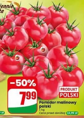 pomidor malinowy polski