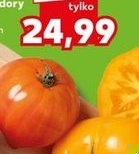 polskie pomidory Flamansun