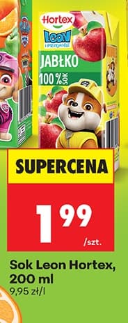 sok Leon