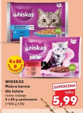 mokra karma dla kotów różne rodzaje