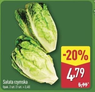 sałata rzymska