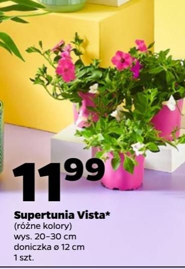 supertunia vista